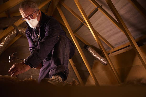 Best Insulation Materials and Products in Ottawa, IL